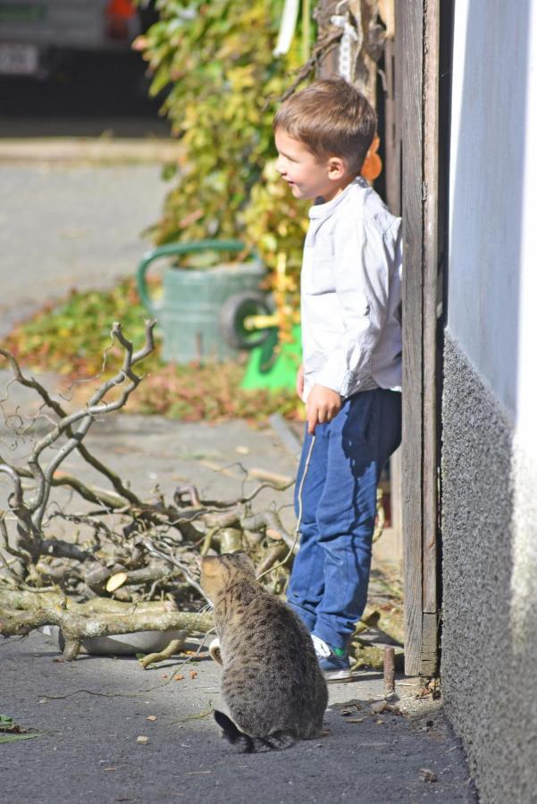 Am Jaukhof Familie Stiendl Villa Neudorf im Sausal Exteriör bild