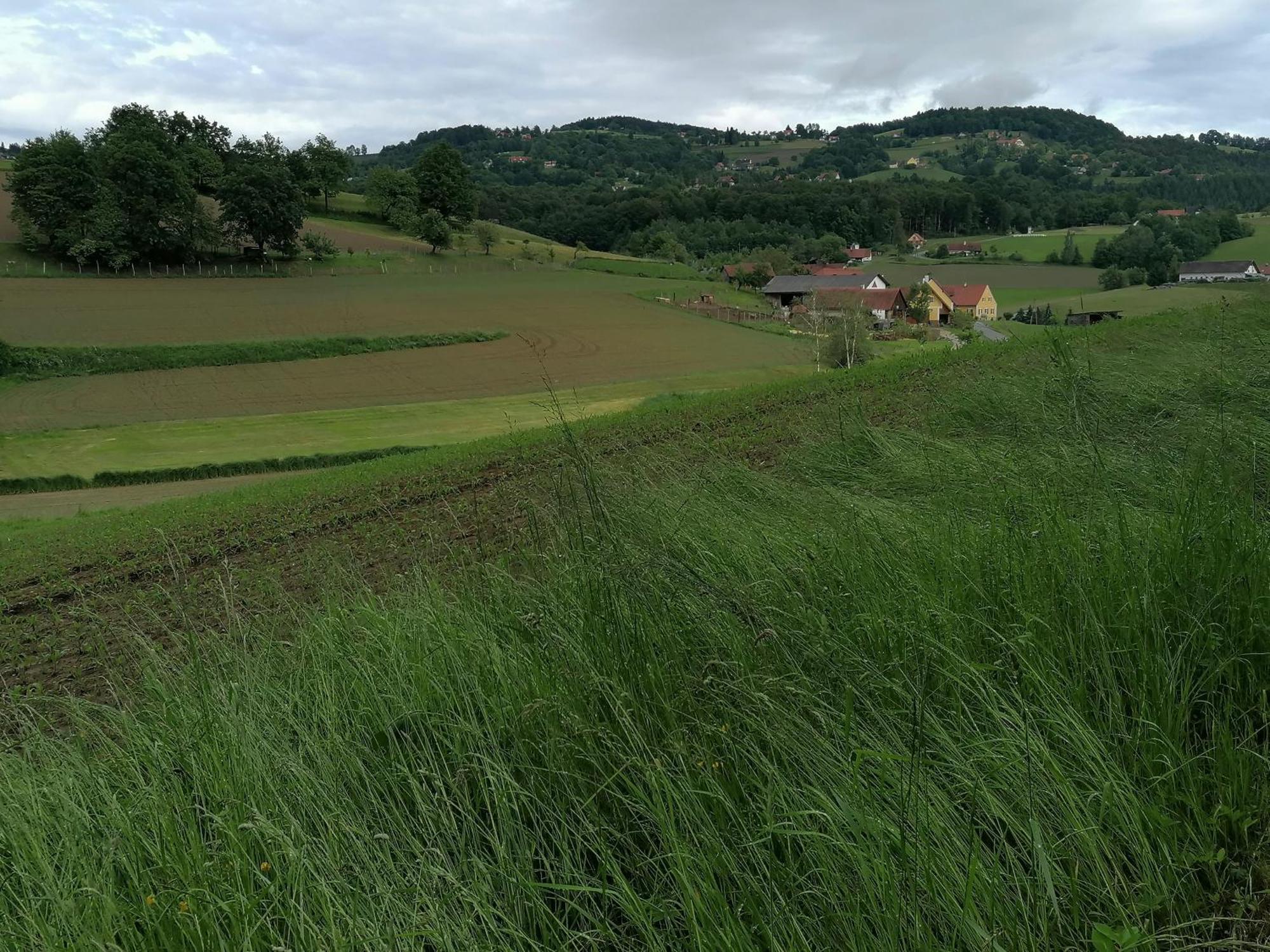 Am Jaukhof Familie Stiendl Villa Neudorf im Sausal Exteriör bild