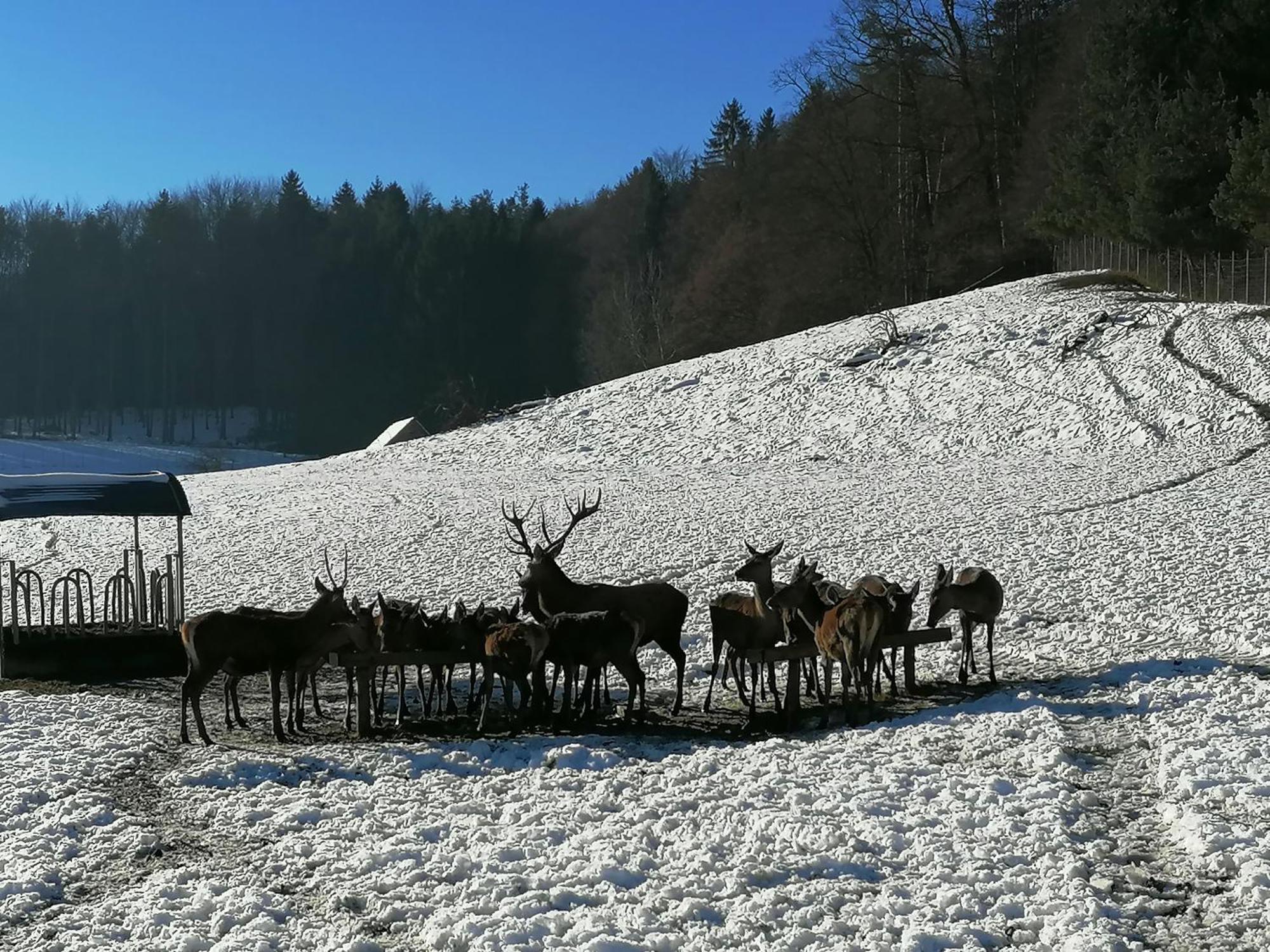 Am Jaukhof Familie Stiendl Villa Neudorf im Sausal Exteriör bild